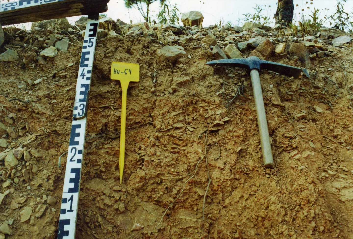Dystric Regosol on slates near Villanueva de los Castillejos (Huelva, southwestern Spain)
