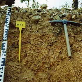 Dystric Regosol on slates near Villanueva de los Castillejos (Huelva, southwestern Spain)