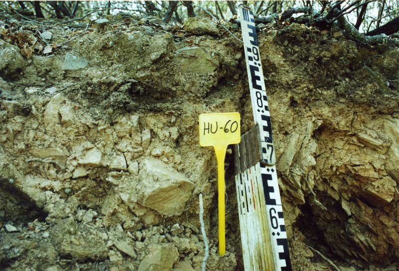 Humic Eutric Leptosol on slates near Sanlúcar de Guadiana (Huelva, southwestern Spain)