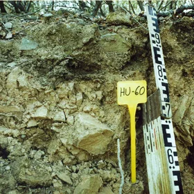 Humic Eutric Leptosol on slates near Sanlúcar de Guadiana (Huelva, southwestern Spain)