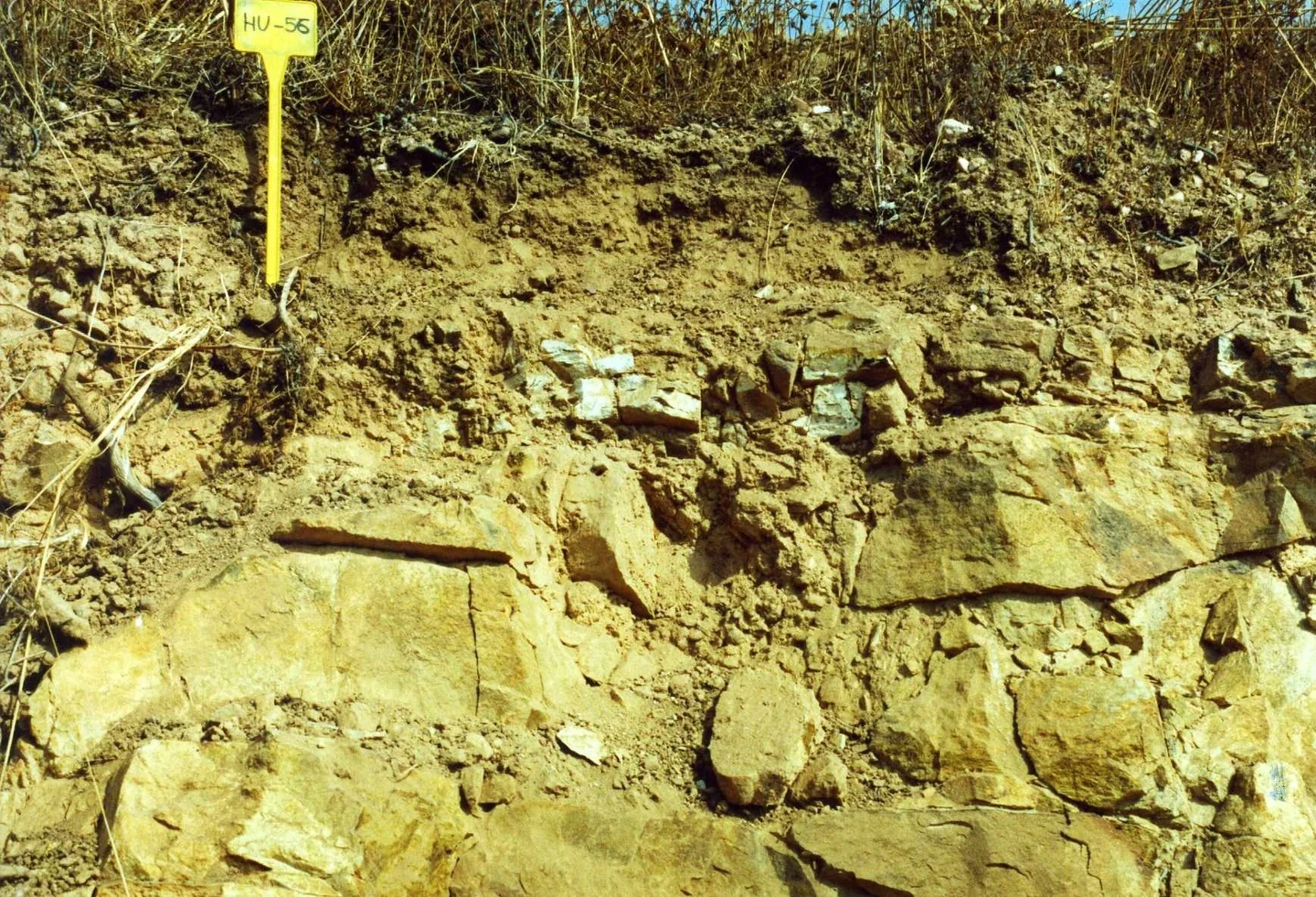 Dystric Leptosol on volcanic rocks near Sanlúcar de Guadiana (Huelva, southwestern Spain)