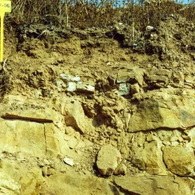 Dystric Leptosol on volcanic rocks near Sanlúcar de Guadiana (Huelva, southwestern Spain)
