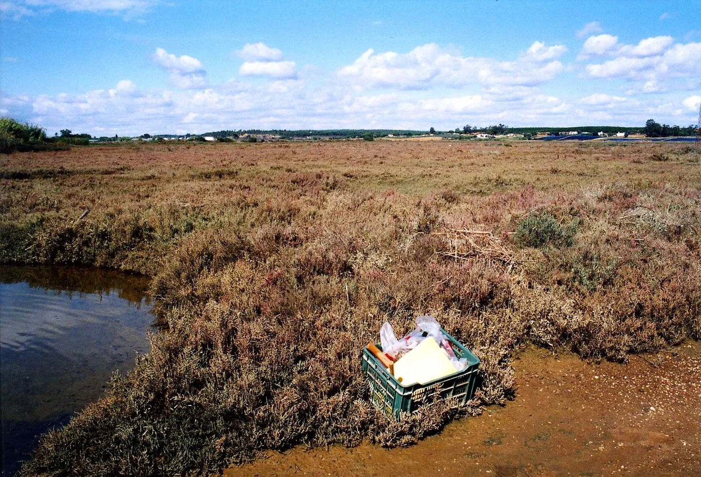 Eutric Fluvisol on the Odiel river terrace (Huelva, southern Spain)