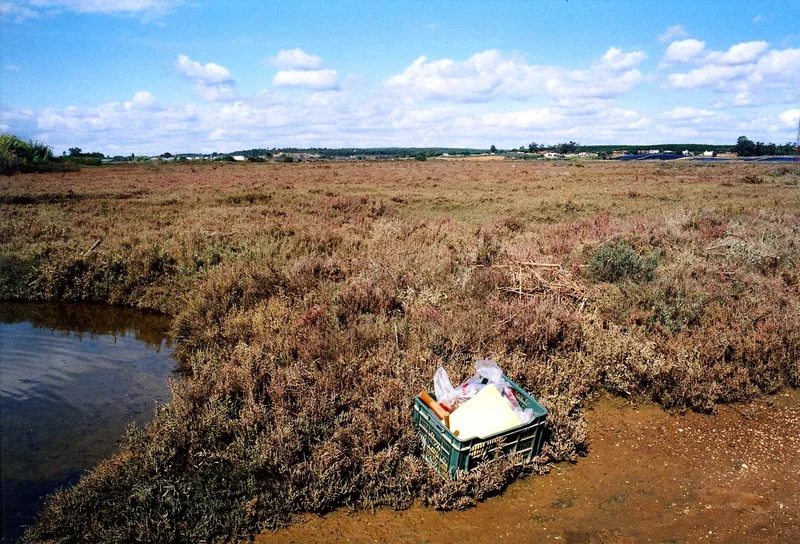 Eutric Fluvisol on the Odiel river terrace (Huelva, southern Spain)