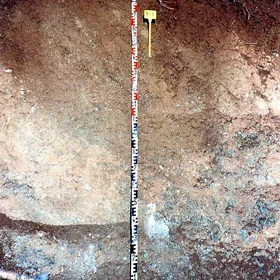Calcic Luvisol on limestones near Rosal de la Frontera (Huelva, southwestern Spain)