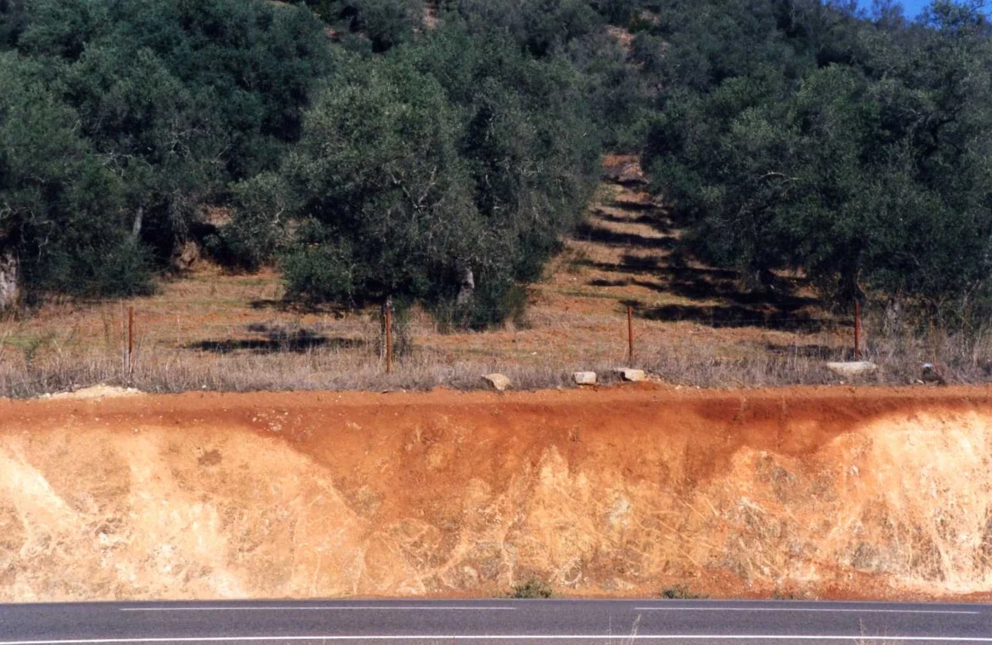 Calcic Luvisol on limestone near Rosal de la Frontera (Huelva, southwestern Spain), as seen in a backslope.