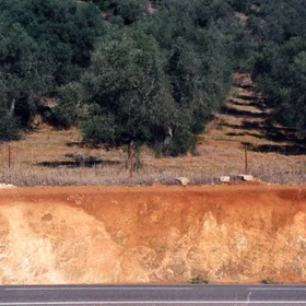 Calcic Luvisol on limestone near Rosal de la Frontera (Huelva, southwestern Spain), as seen in a backslope.