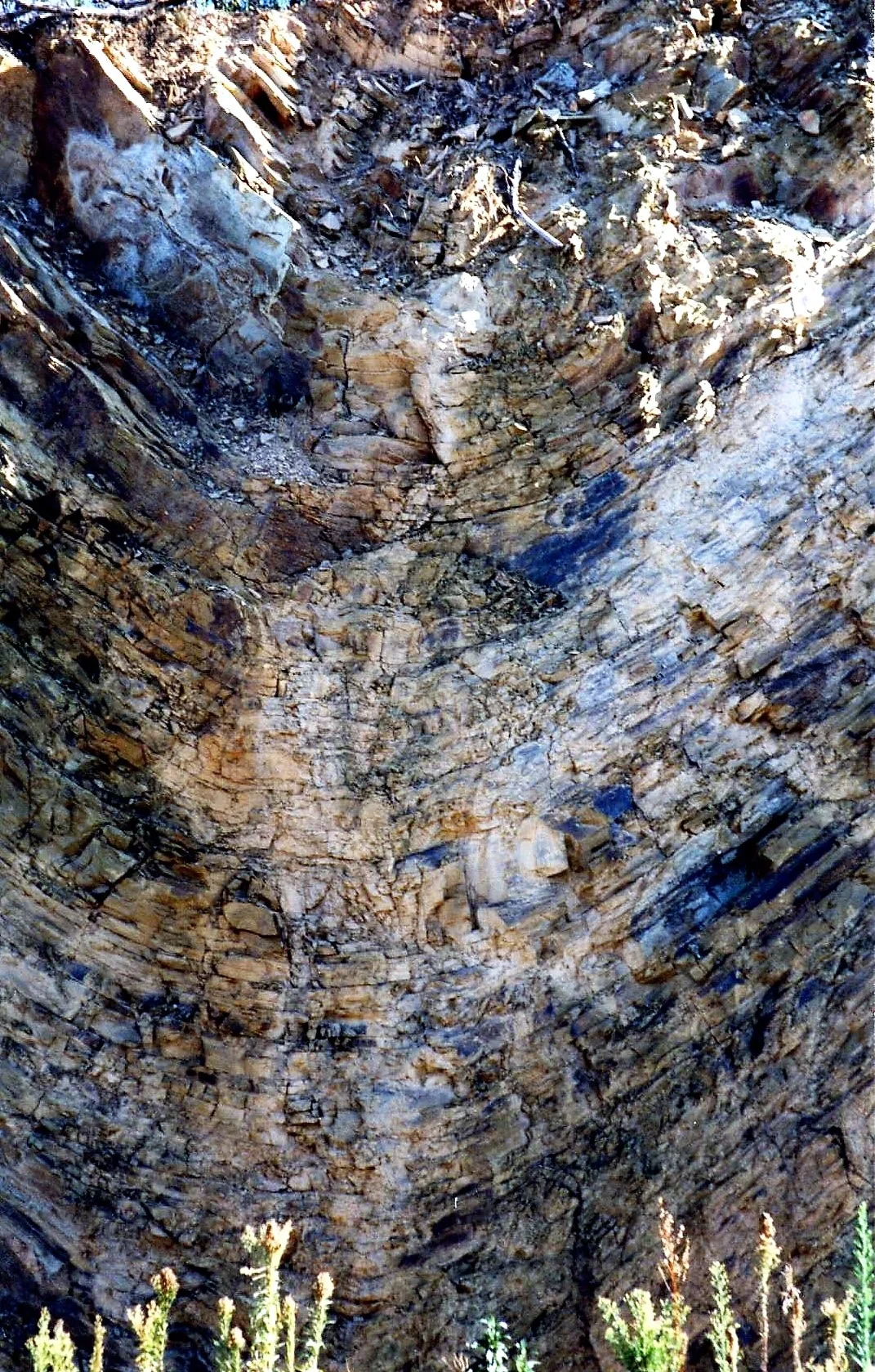 Nudilithic Leptosol showing a syncline