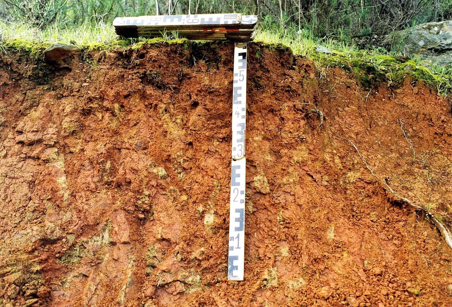 Eutric Leptic Regosol on igneous rocks near Santa Catalina (Huelva, southwestern Spain)