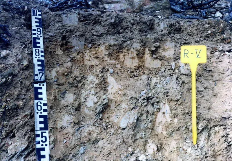 Dystric Humic Leptosol on diorite near Rosal de la Frontera (Huelva, southwestern Spain)