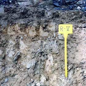 Dystric Humic Leptosol on diorite near Rosal de la Frontera (Huelva, southwestern Spain)