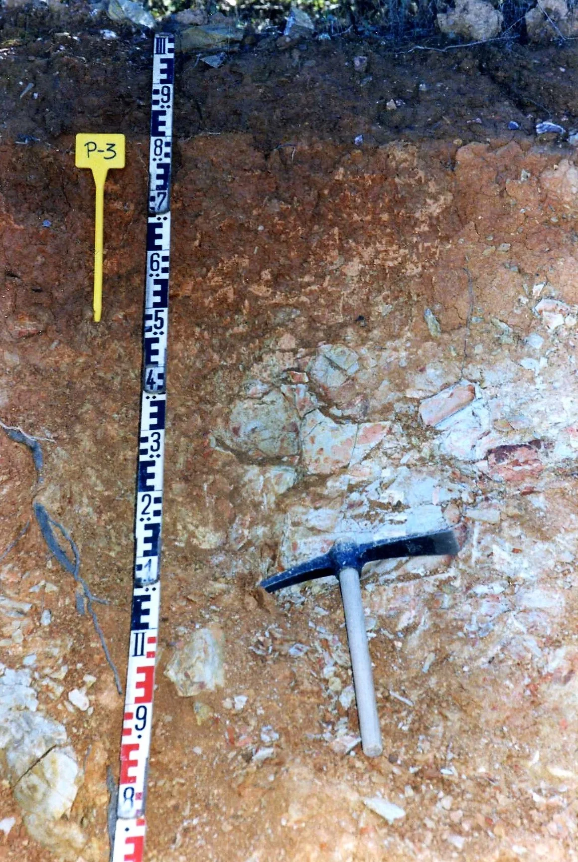 Dystric Lithic Leptosol on greywacke from Cerro Burra, near Santa Bárbara de Casa (Huelva, Spain)