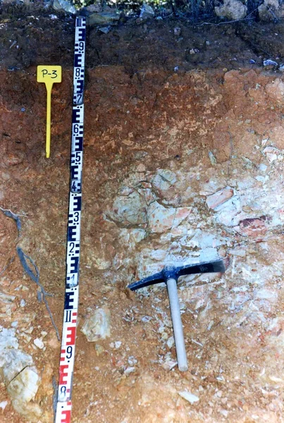 Dystric Lithic Leptosol on greywacke from Cerro Burra, near Santa Bárbara de Casa (Huelva, Spain)