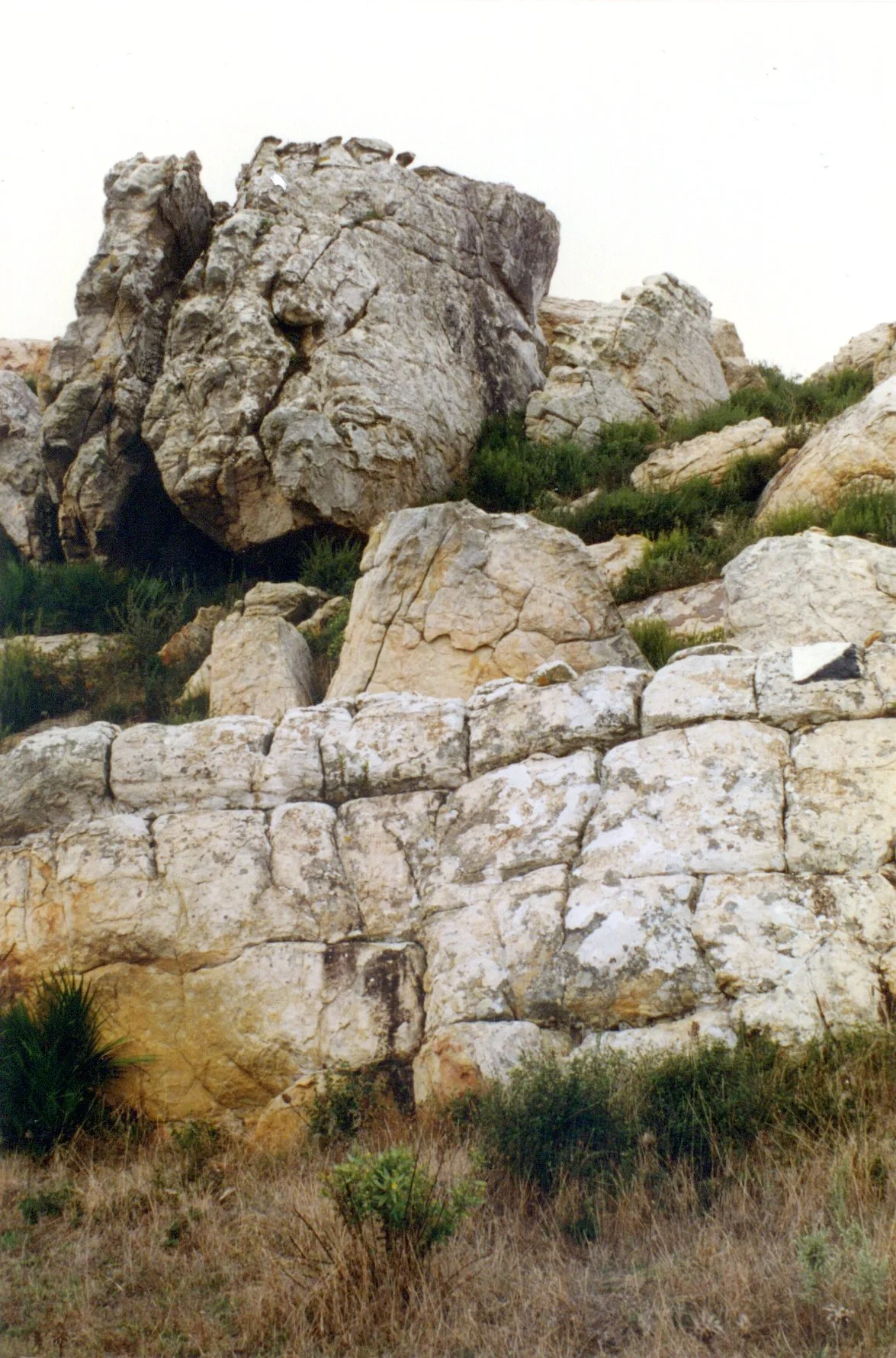 Outcrop of siliceous sandstone
