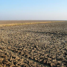 Hydragric Anthrosol near Isla Menor (Sevilla, SW SPain)