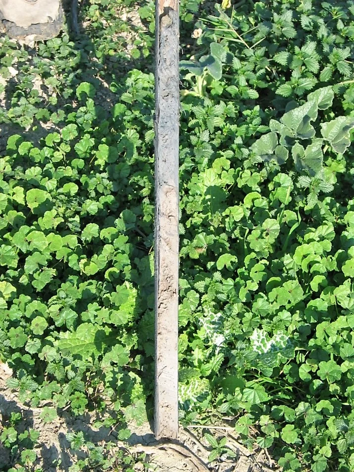Hydragric Anthrosol (Sevilla, SW SPain)