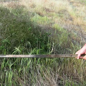 Eutric Histosol (Doñana N.P., SW Spain)