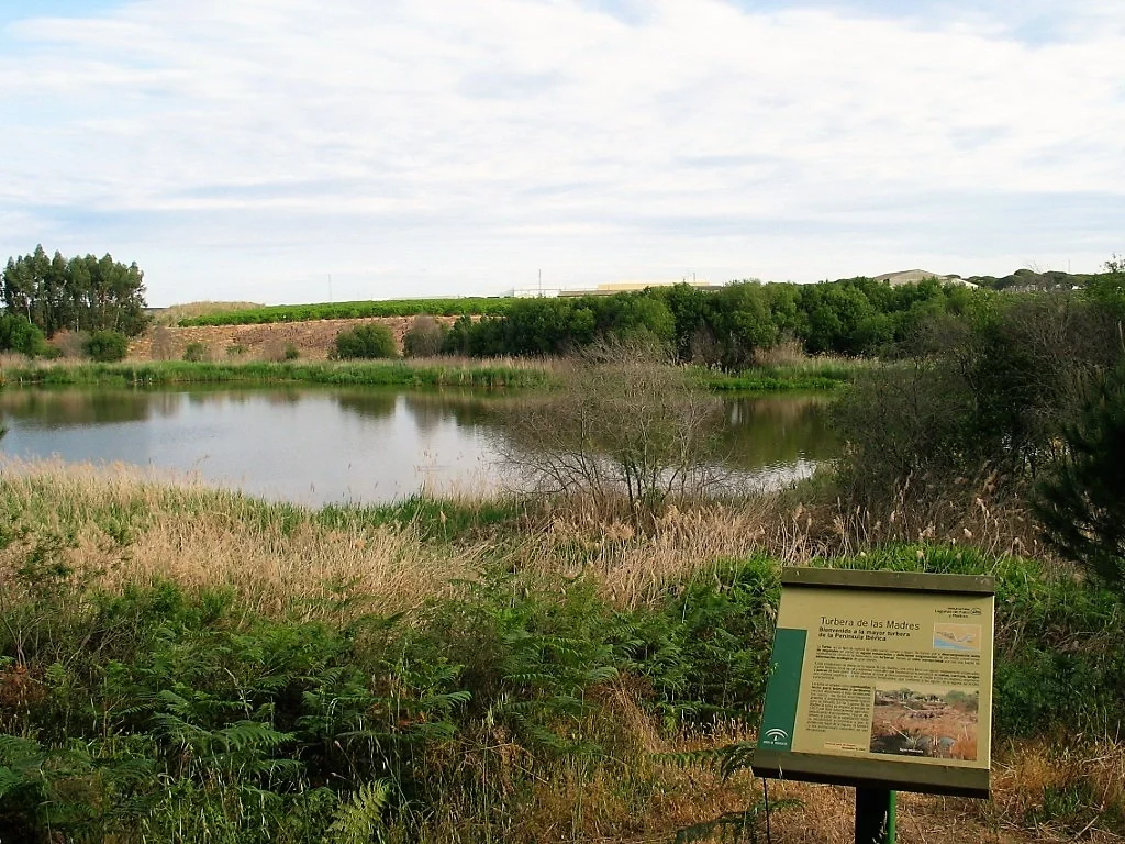 Las Madres peatbog (Doñana N.P., SW Spain)