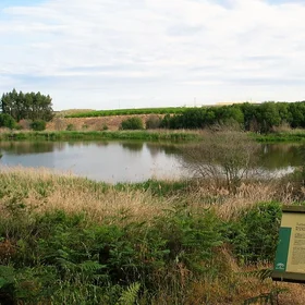 Las Madres peatbog (Doñana N.P., SW Spain)