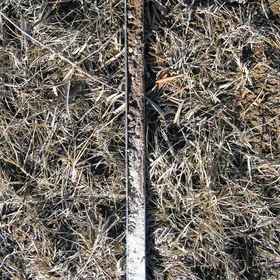 Haplic Calcisol on marls (Estepa, SW Spain)