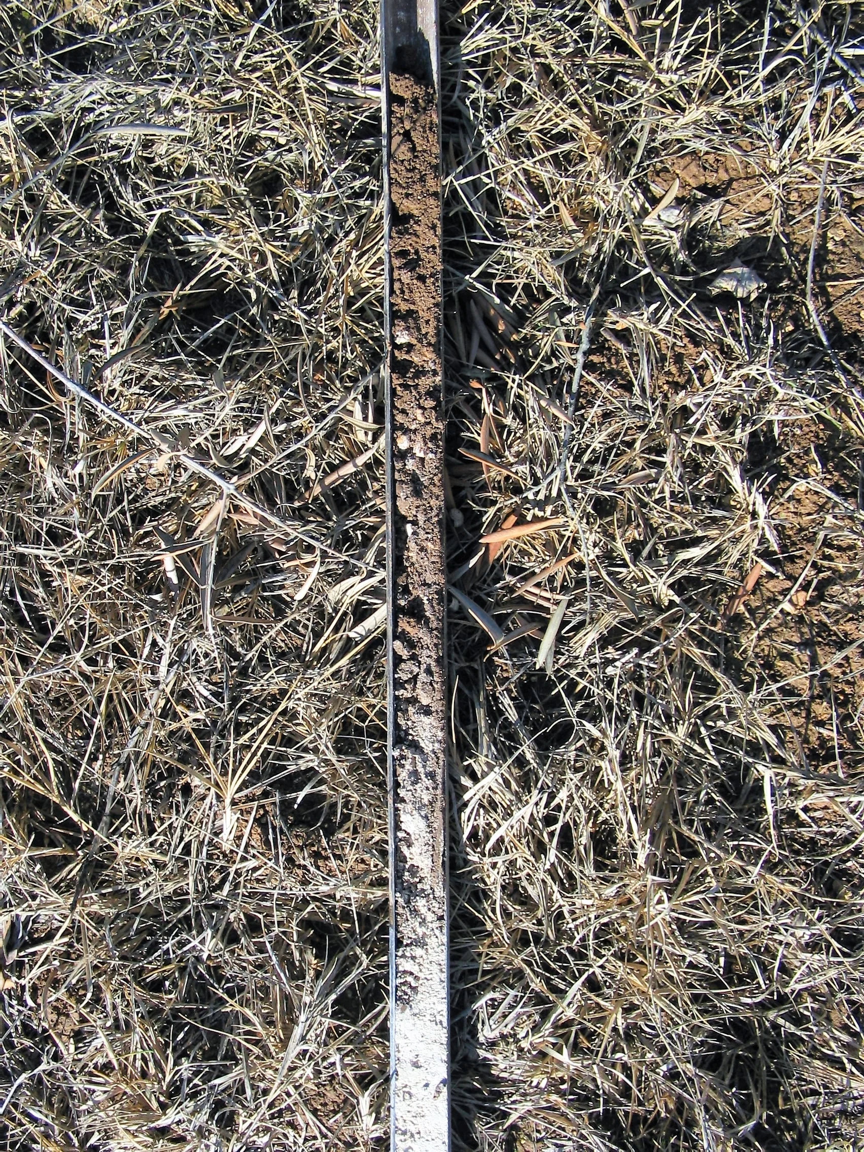Haplic Calcisol on marls (Estepa, SW Spain)