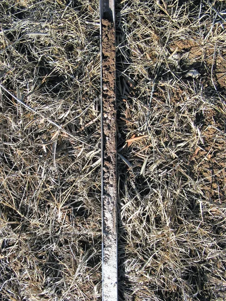 Haplic Calcisol on marls (Estepa, SW Spain)