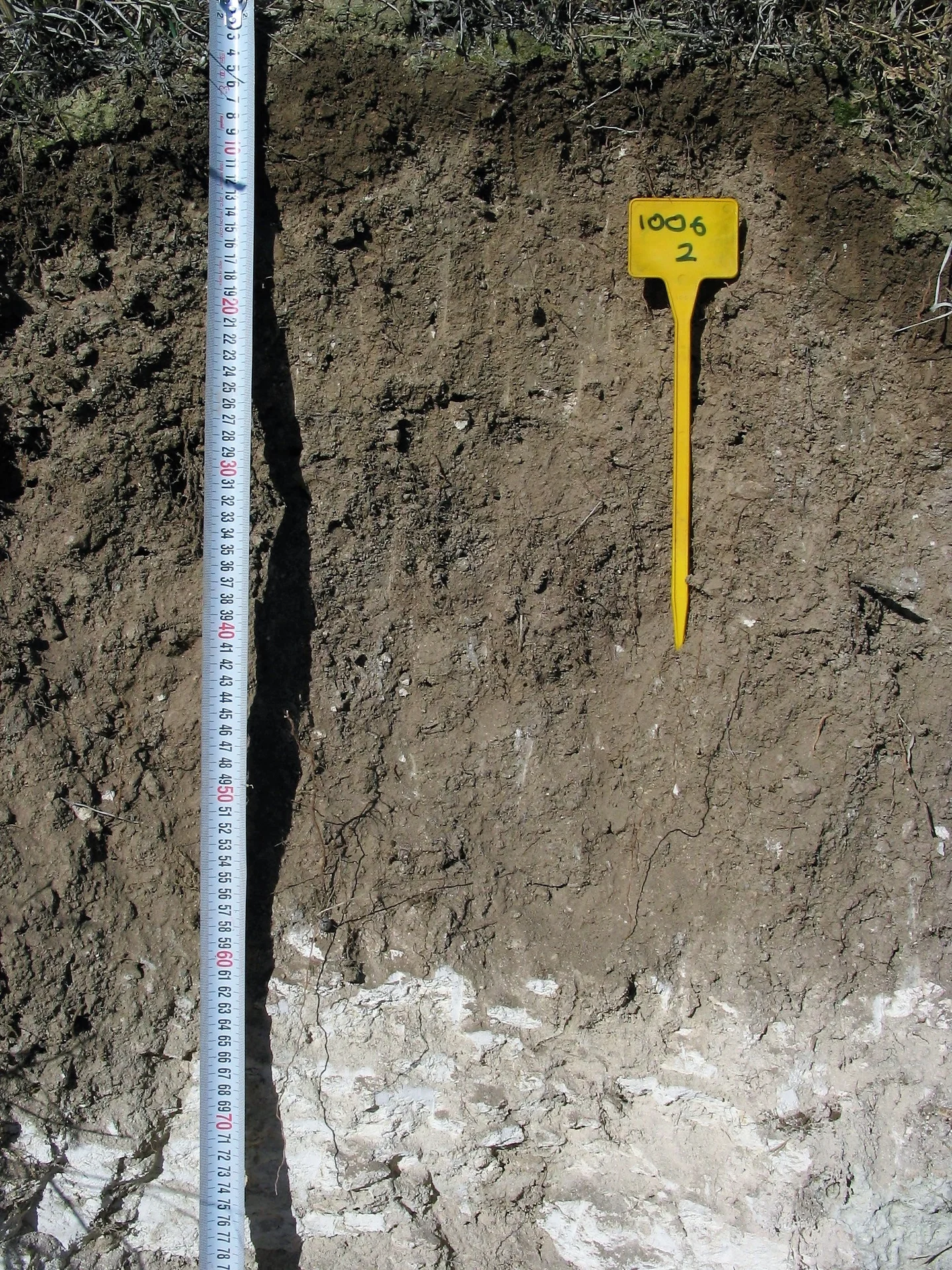 Haplic Calcisol on marls (Estepa, SW Spain)