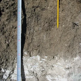 Haplic Calcisol on marls (Estepa, SW Spain)