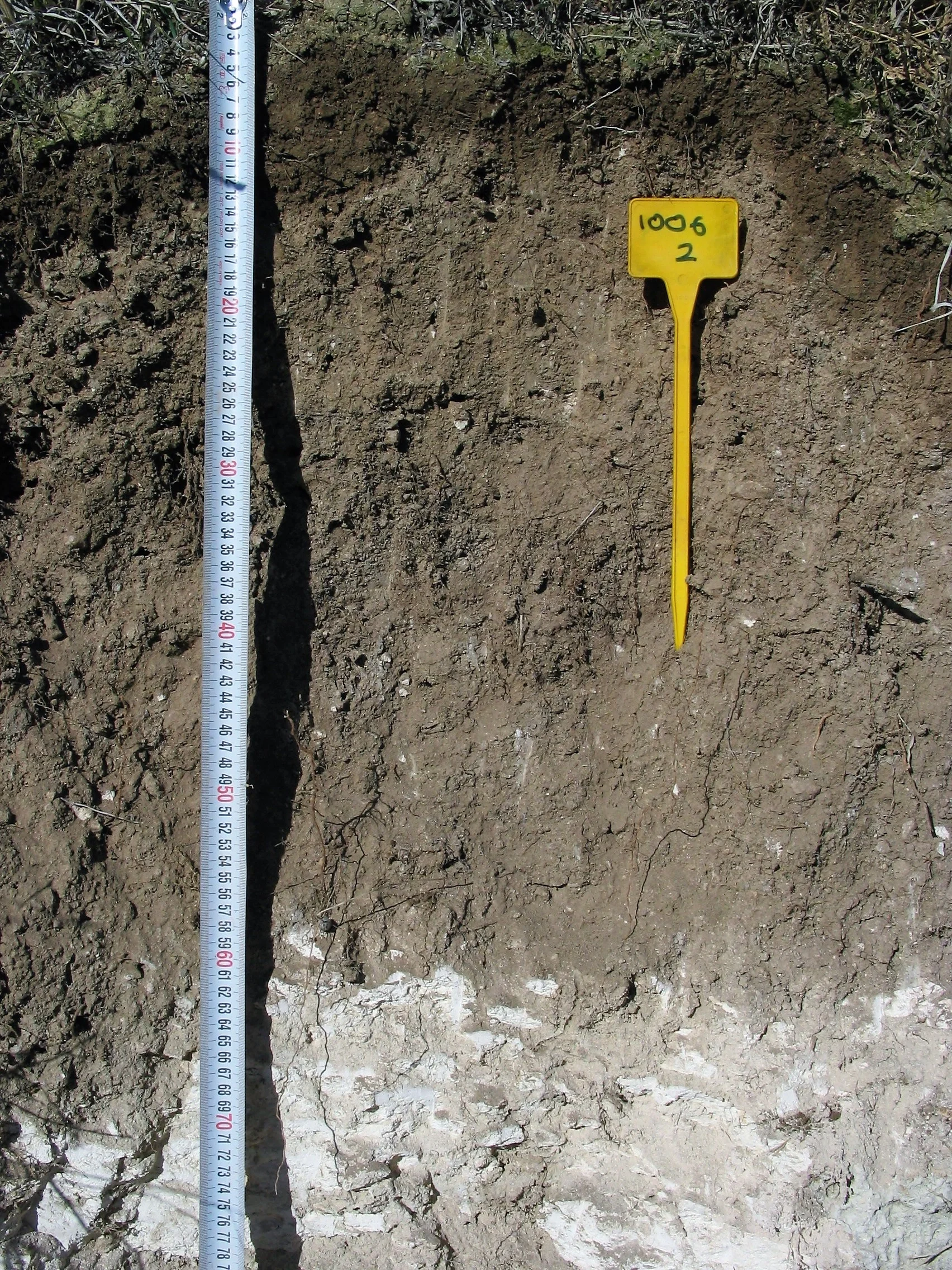 Haplic Calcisol on marls (Estepa, SW Spain)