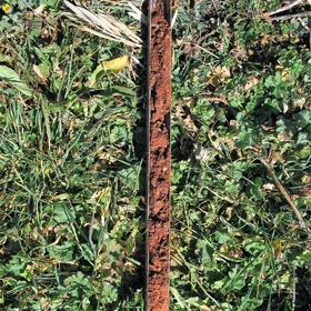Calcaric Regosol on clay (Estepa, SW Spain)