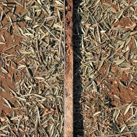 Calcaric Regosol (La Roda de Andalucía, SW, Spain)