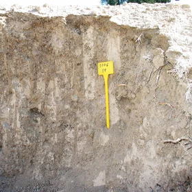 Haplic Calcisol on marls (Benamejí, southern Spain)