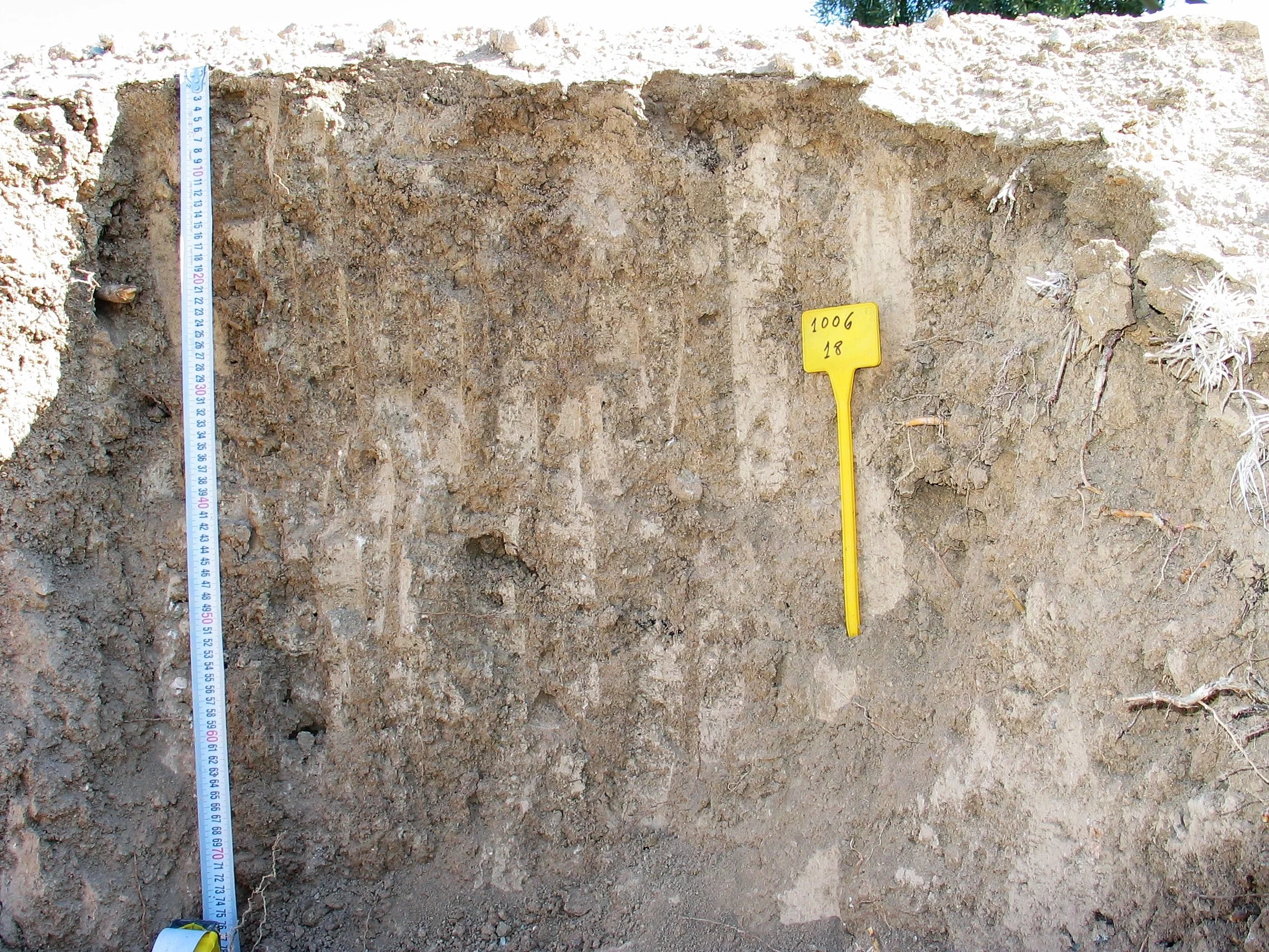 Haplic Calcisol on marls (Benamejí, southern Spain)