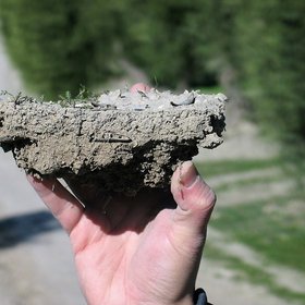 Subangular blocky soil aggregate