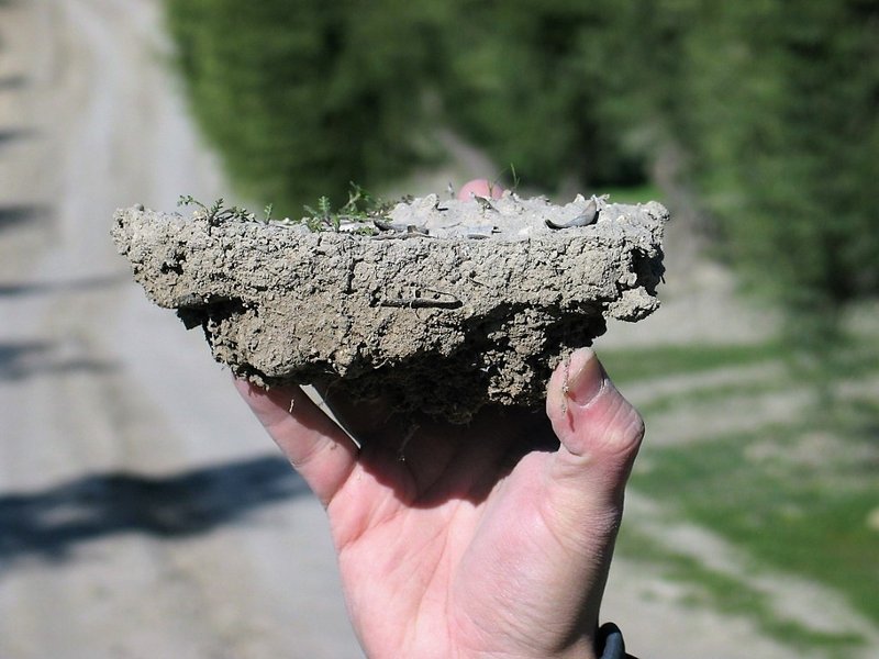 Subangular blocky soil aggregate