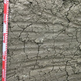 Detail of angular blocky soil structure in the bottom of a Calcic Vertisol