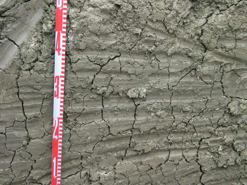 Detail of angular blocky soil structure in the bottom of a Calcic Vertisol