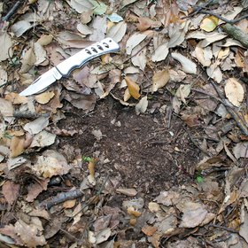 Granular structure below the litter of a forest soil