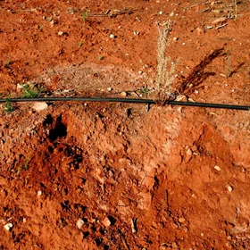 Accumulation of salts after drip irrigation in an arid area of Valencia (E Spain)