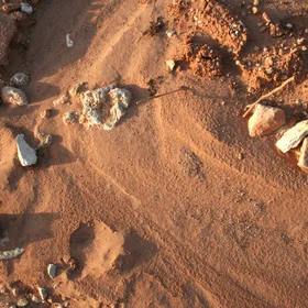 Soil sealed inmediately after removal of vegetation in Valencia