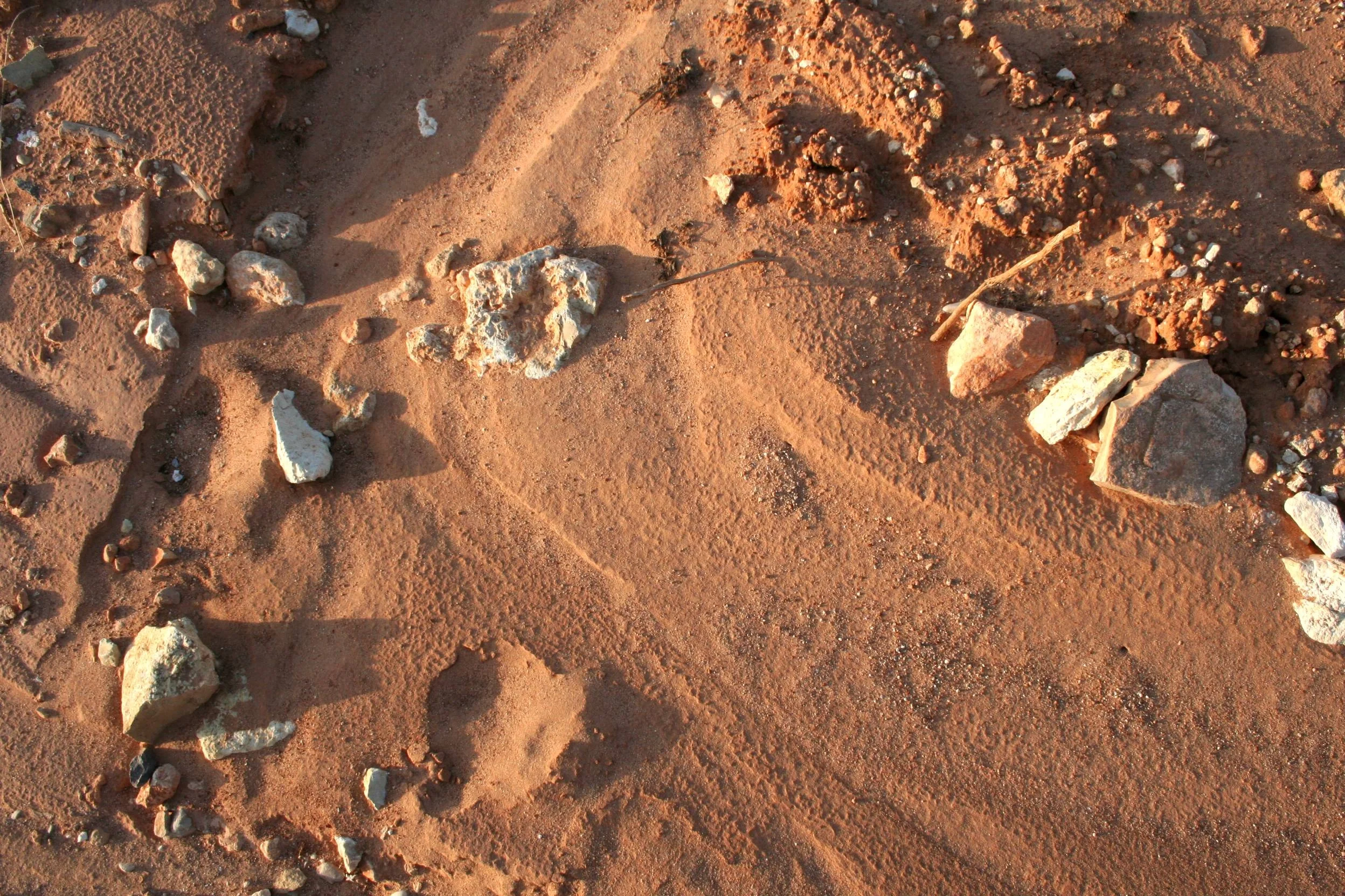 Soil sealed inmediately after removal of vegetation in Valencia