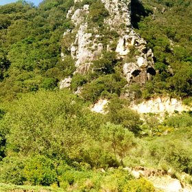 Vertical strata of siliceous sandstone (N.P. Los Alcornocales, SW Spain)