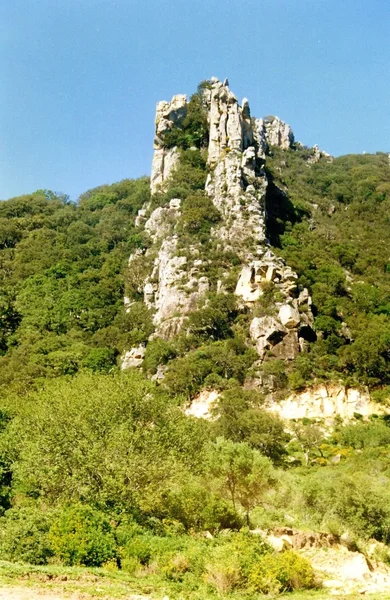 Vertical strata of siliceous sandstone (N.P. Los Alcornocales, SW Spain)
