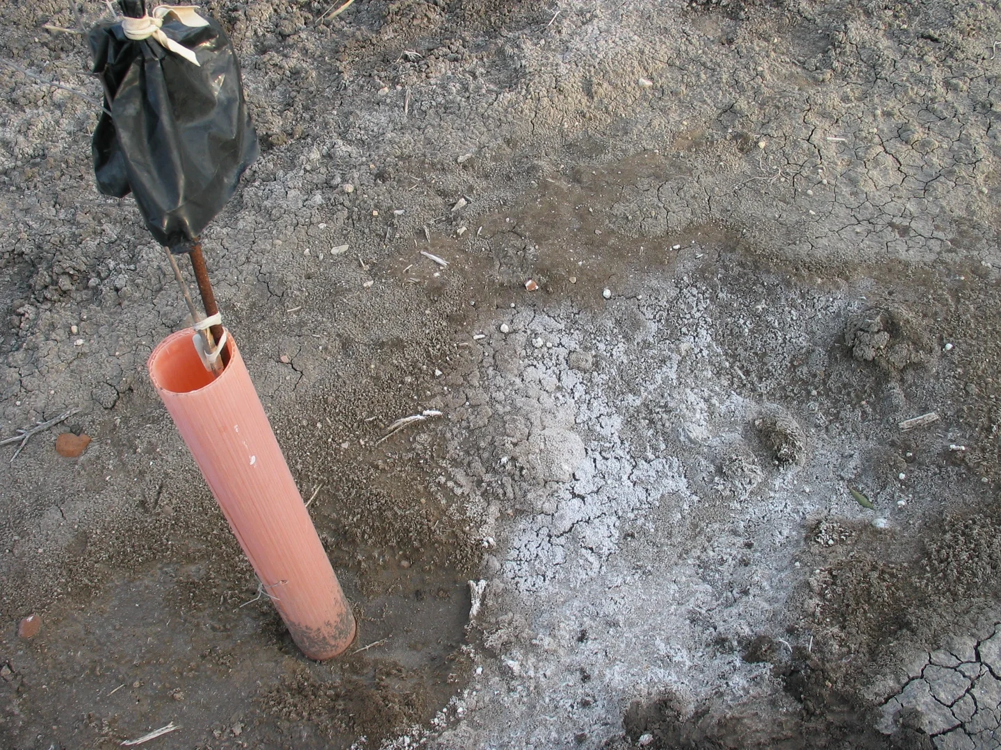 Saline efflorescence on the soil surface near Arroyo Salado, Marchena (SW Spain)
