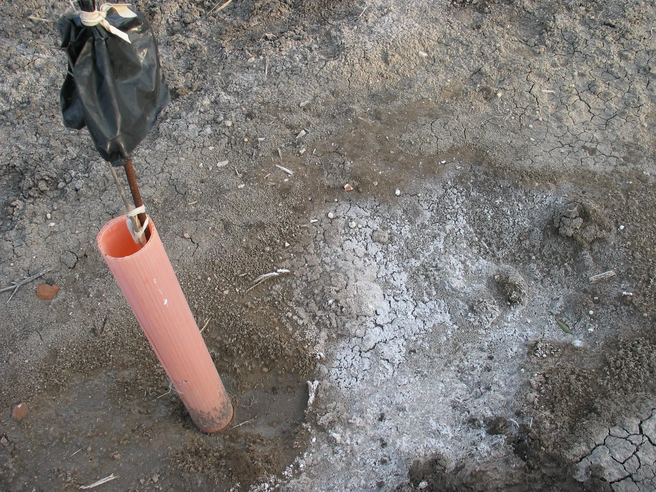 Saline efflorescence on the soil surface near Arroyo Salado, Marchena (SW Spain)