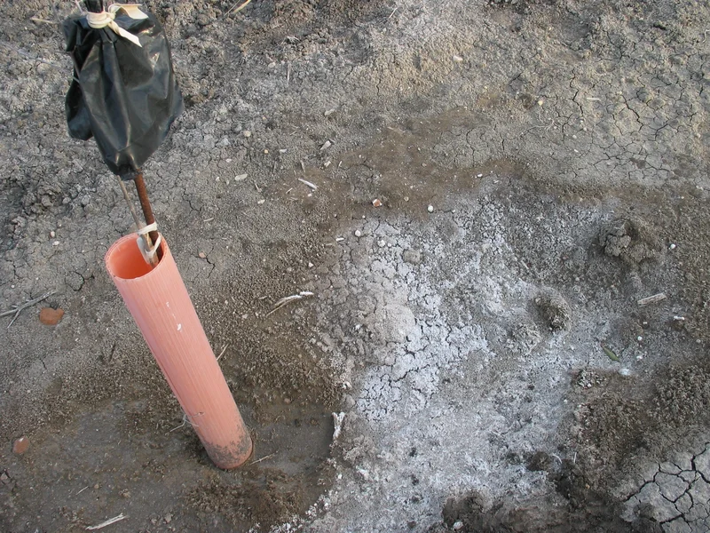 Saline efflorescence on the soil surface near Arroyo Salado, Marchena (SW Spain)