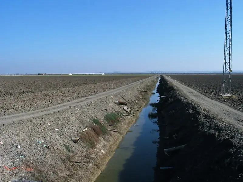 Drainage system for salinity control of a Gleyic Calcaric Fluvisol