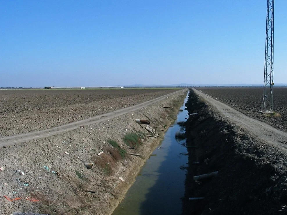 Drainage system for salinity control of a Gleyic Calcaric Fluvisol