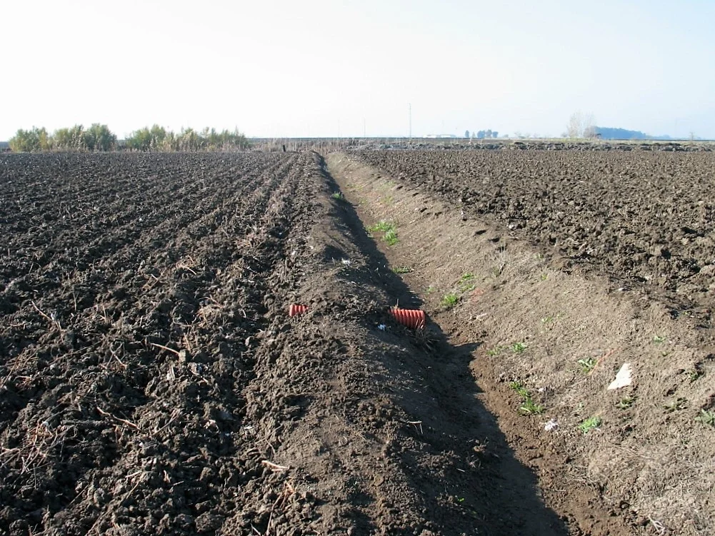 Drainage system for salinity control of a Hydragric Anthrosol