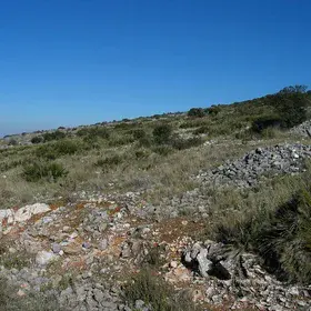 Rock fragments on the surface of a eroded soil